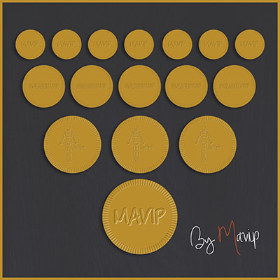 pièce en chocolat personnalisée avec logo d'entreprise by Mavip